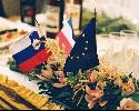 photo n&deg;2 - dd_tovornik