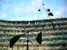 photo vis n°11 - 2008