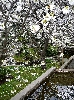 photo vis n°14 - 2008