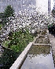 photo vis n°15 - 2008