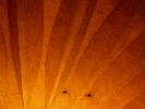 photo vis n°2 - 2008