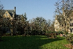 photo vis n&deg;7 - 2012
